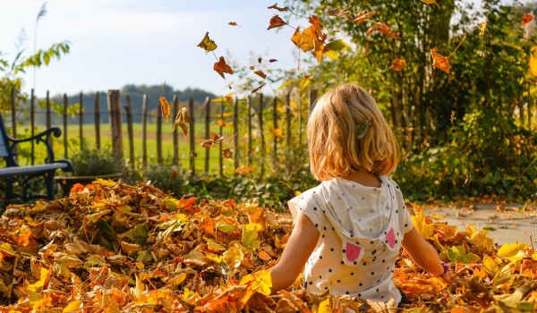 Herbstferienprogramm Pixabay zur freien Nutzung