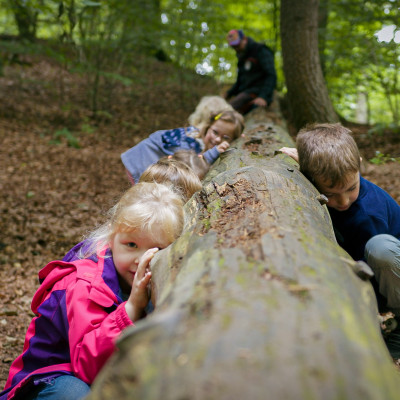 Naturpaedagoisches Programm Naturerlebnis Grabau