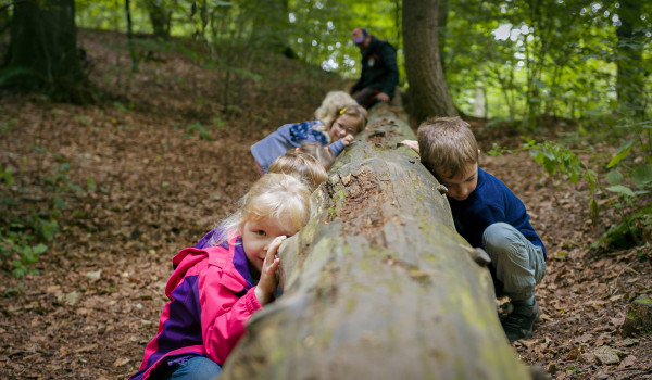 Naturpaedagoisches Programm Naturerlebnis Grabau