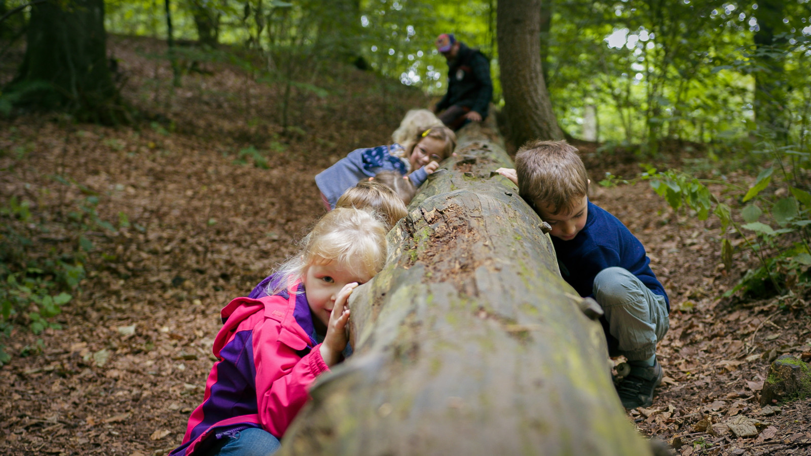 Naturpaedagoisches Programm Naturerlebnis Grabau